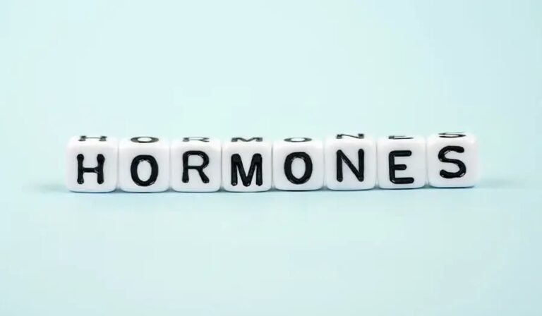 Hormone_on_white_blocks_