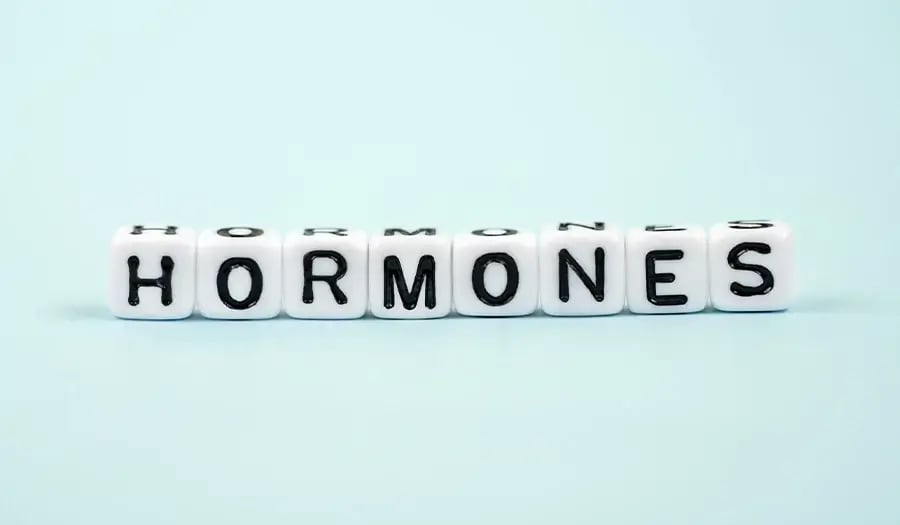 Hormone_on_white_blocks_